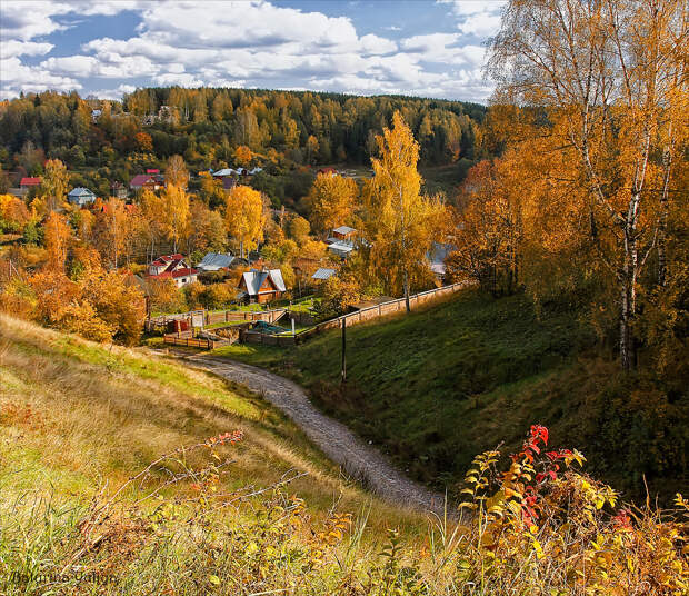 Рыжая кокетка Осень Рыжая кокетка Осень