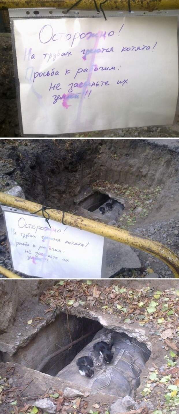 Видимо случаи уже были... Видимо случаи уже были... жкх, зима, прикол, юмор
