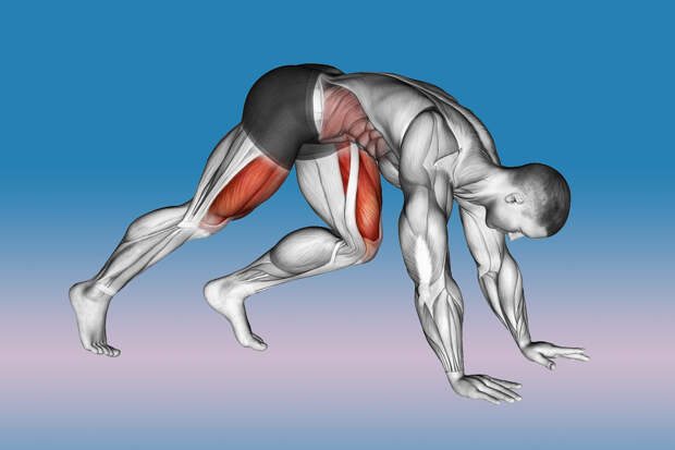 Упражнение “Скалолаз” — биомеханика. Как делать и какие мышцы работают?