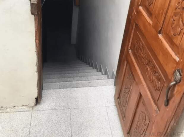 Героические кошки, которые спасли жизнь людям