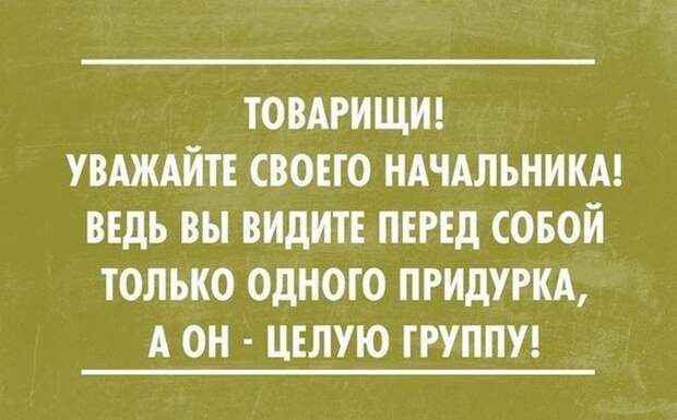 26 открыток от мастеров сарказма открытки, сарказм, юмор