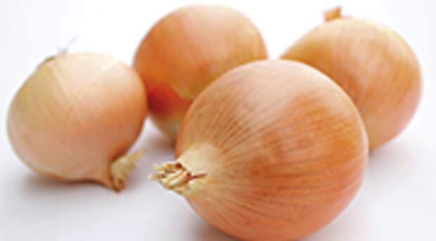 Лук