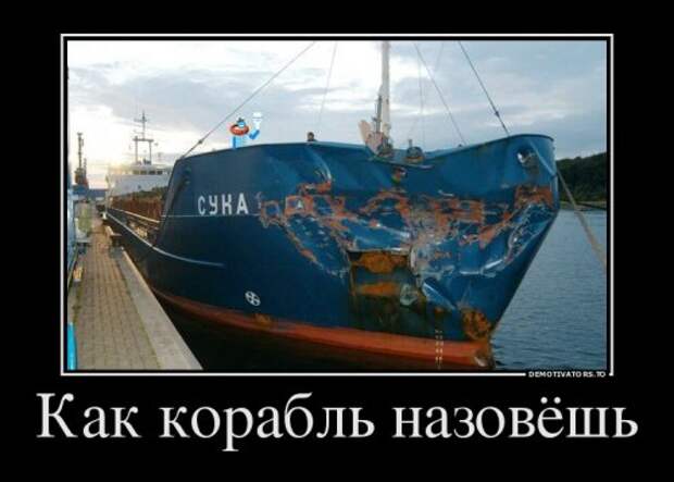 Новые демотиваторы (20 шт)