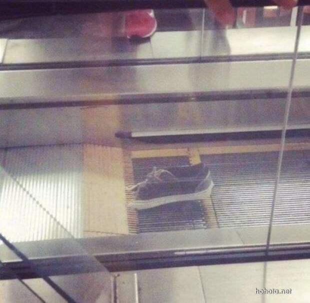Удачные кадры Удачные кадры