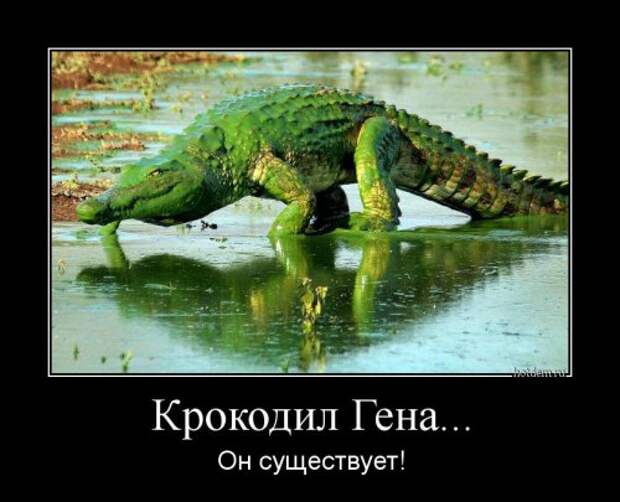 Новые демотиваторы-приколы (13 шт)