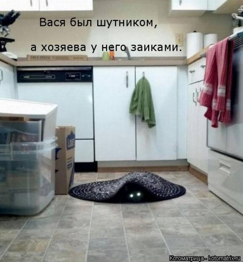 Свежий сборник котоматриц (34 шт)