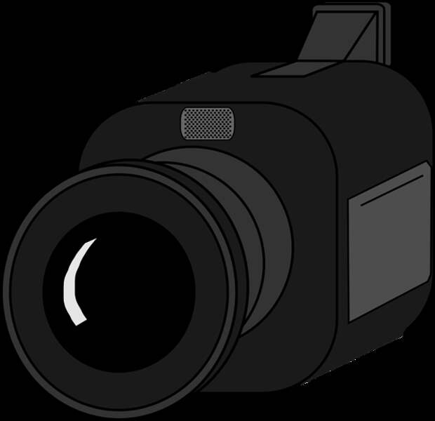 Изображение взято с сайта https://pixabay.com/ru