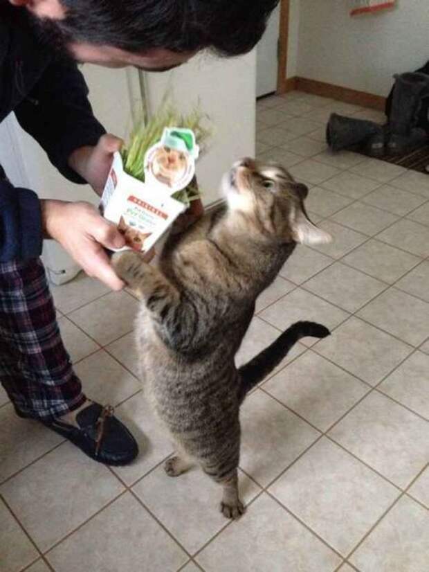 Прикольные картинки
