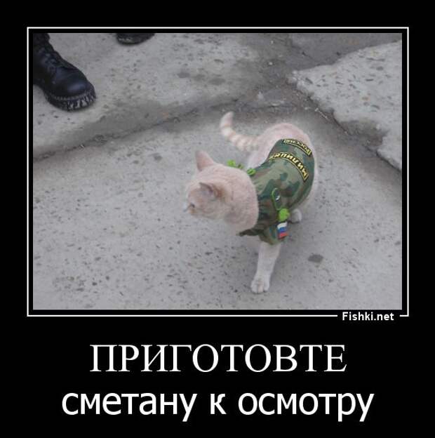 Демотиваторы демотиваторы, прикол, смех, юмор