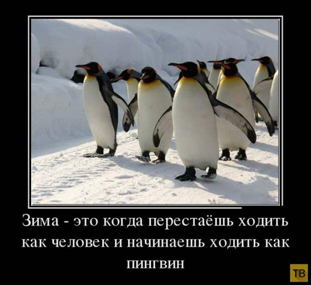 Подборка демотиваторов 30. 10. 2014 (32 фото)