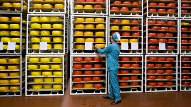 Der Spiegel: Путина просят остановить истребление санкционных продуктов