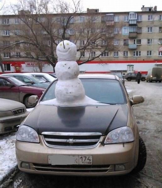 Прикольные картинки