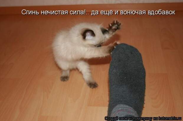 Мысли вслух :)