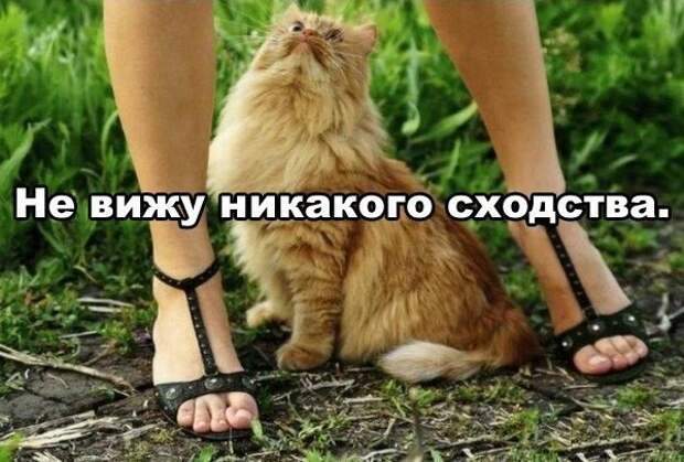 Немного прикольной эротики =) Часть_47