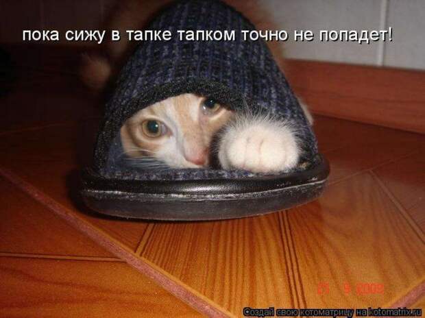 Мысли вслух :)