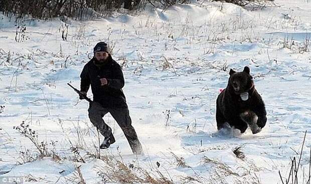 Animal-Photos15