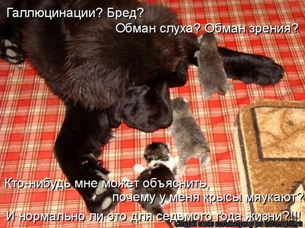 Мысли вслух :)