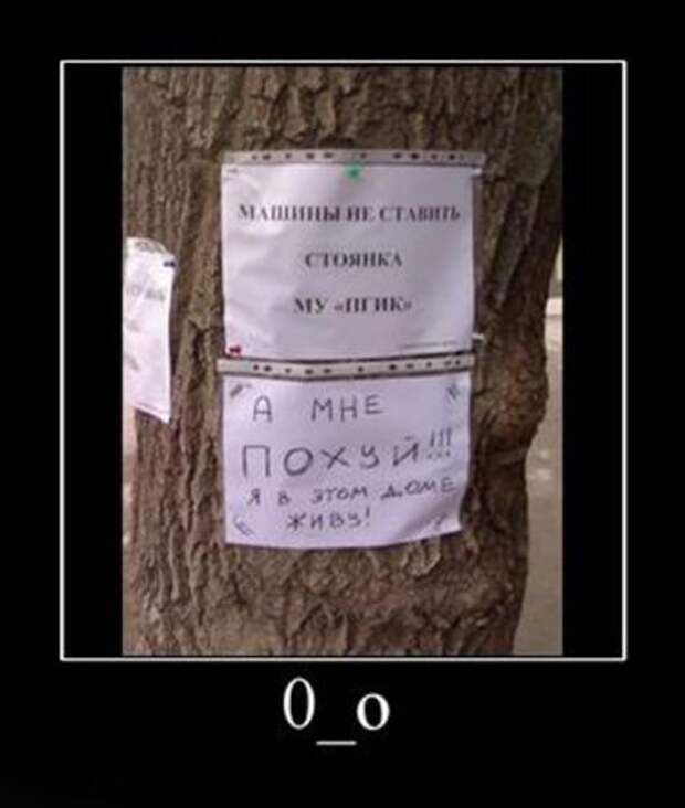 Веселая и прикольная подборка новеньких демотиваторов.!