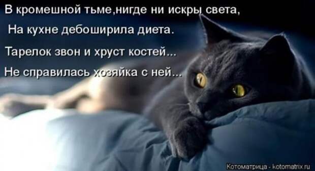 1b3133db28a8a8585ee2d622baf_prev