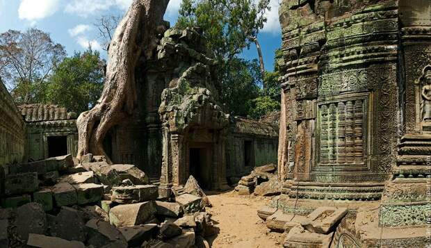 Гармония дерева и камня храма Та Пром, окрестности Сием Рипа, Камбоджа