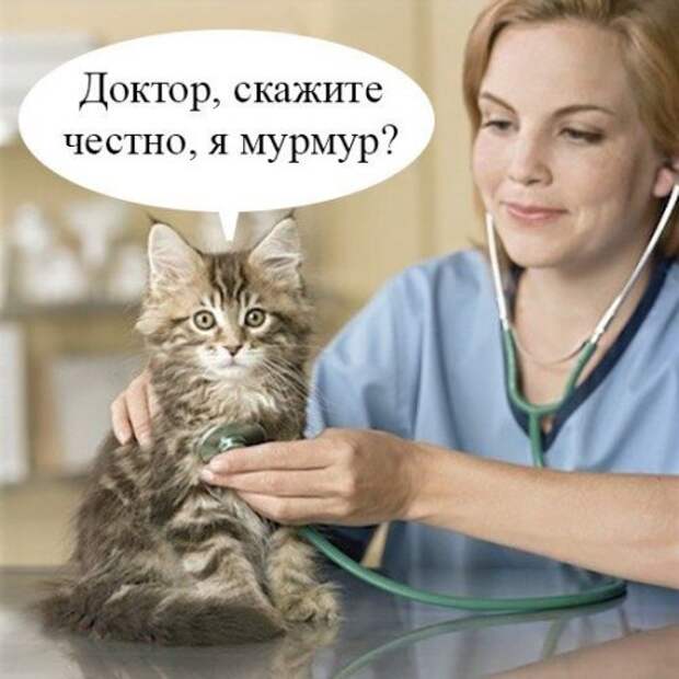 Вечерние фото-приколы (50 шт)