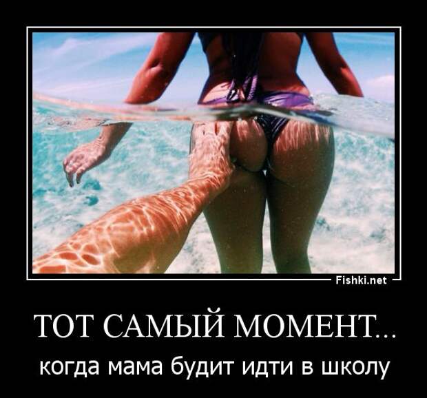 Демотиваторы  демотиваторы, прикол, смех, юмор