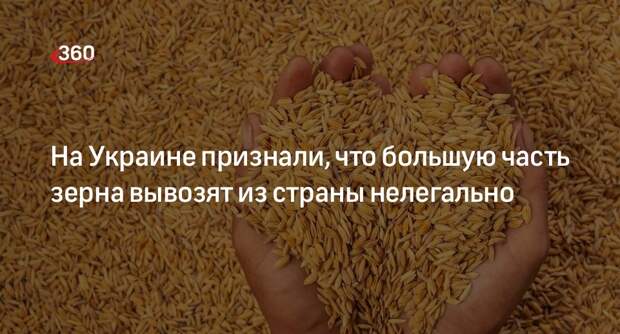 Генпрокурор Украины Вербицкий: большую часть зерна из страны вывозят нелегально