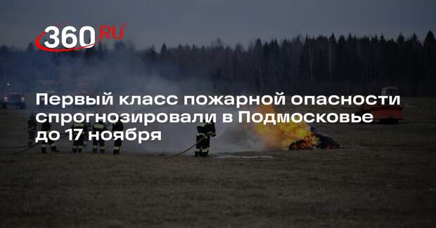 Первый класс пожарной опасности спрогнозировали в Подмосковье до 17 ноября