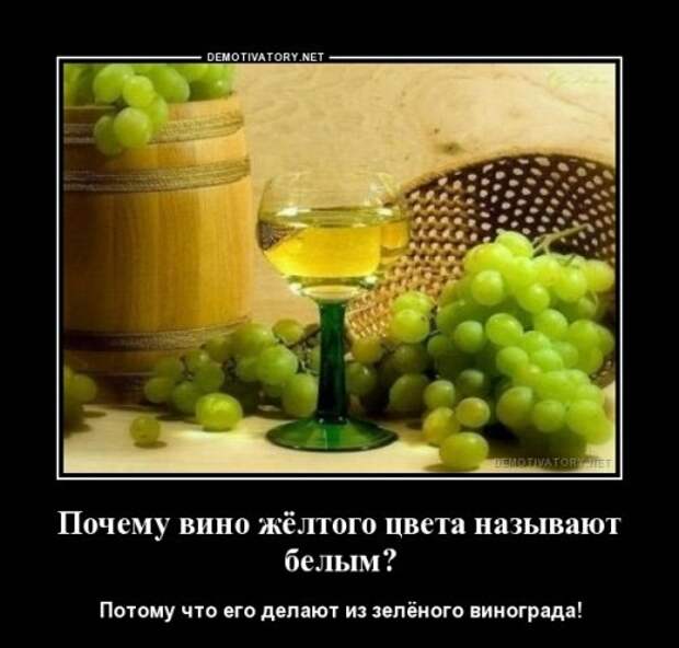 Демотиваторы на Бугаге (18 шт)