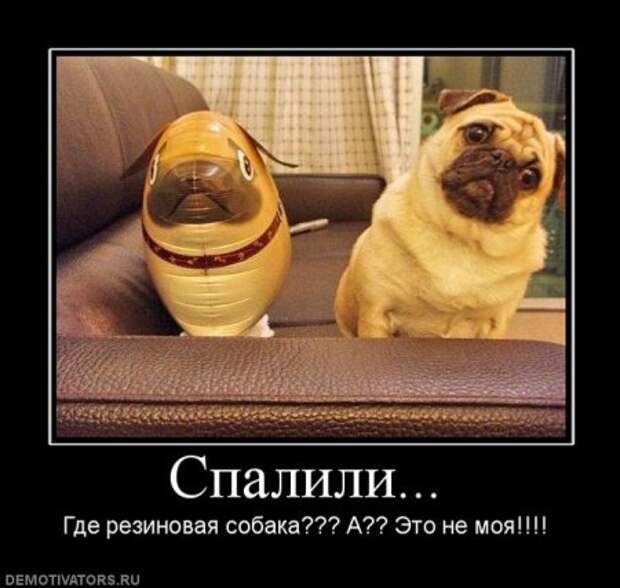 Смешные демы за неделю.