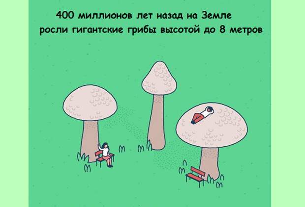 www.vsyako.net