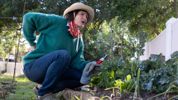 10 опасностей, которые подстерегают на даче