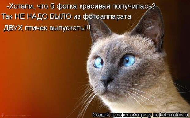 Мысли вслух :)