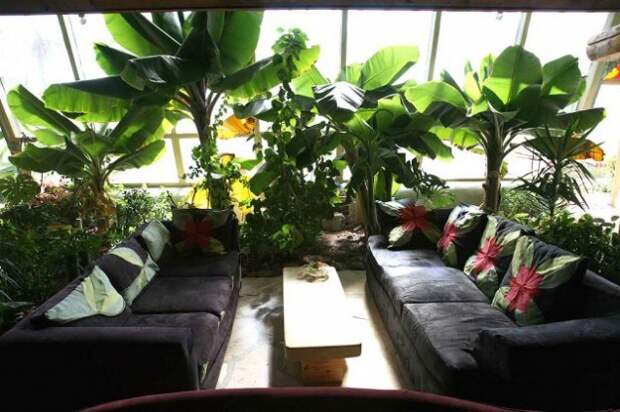экологические дома earthship (6)