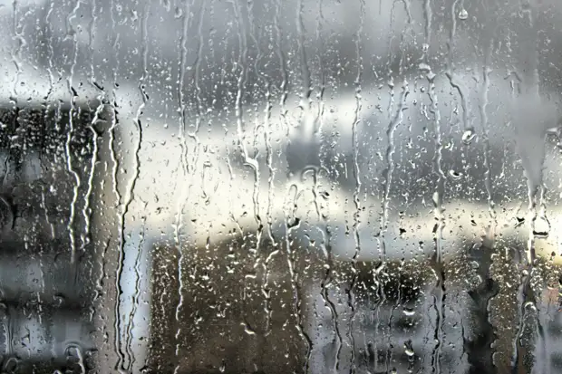 Стремительно начала седеть