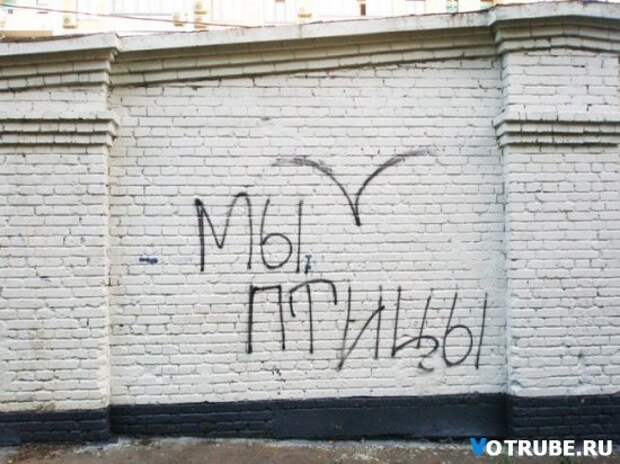 Когда корявые надписи на стенах смотрят прямо в душу Выпуск 595 (23 фото)