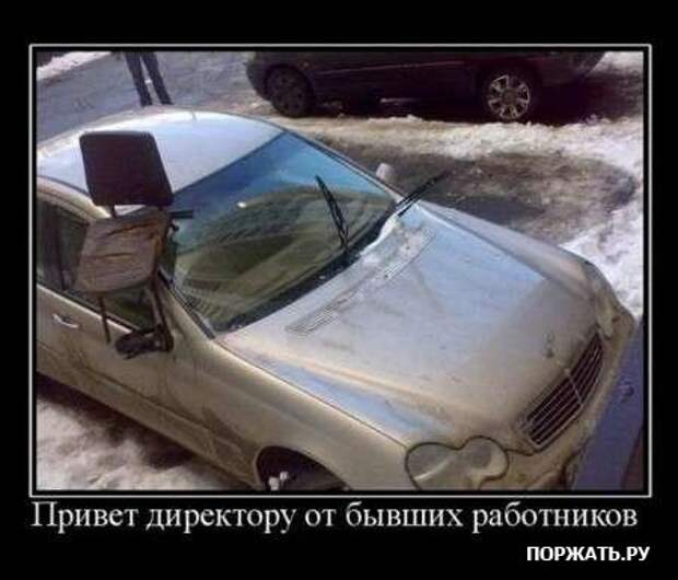 Демы свеженькие