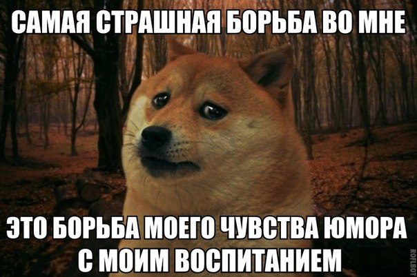 Фразы в картинках картинки, фразы