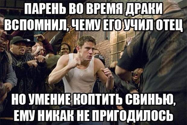 Смешные картинки с подписями  картинки, прикол, юмор