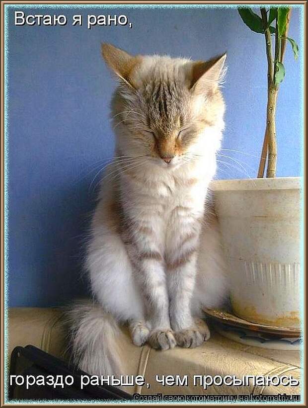 ВСТАЮ  Я  РАНО...
