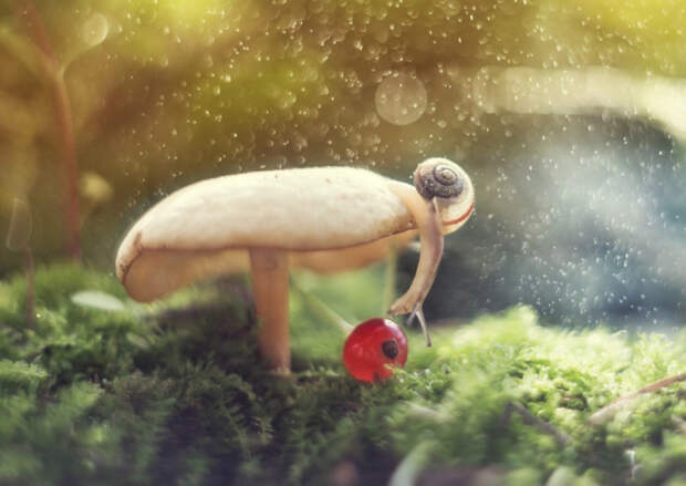 самые потрясающие и интересные фотографии 