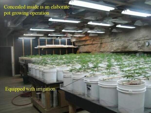 Дом с золотым запасом (13 фото)