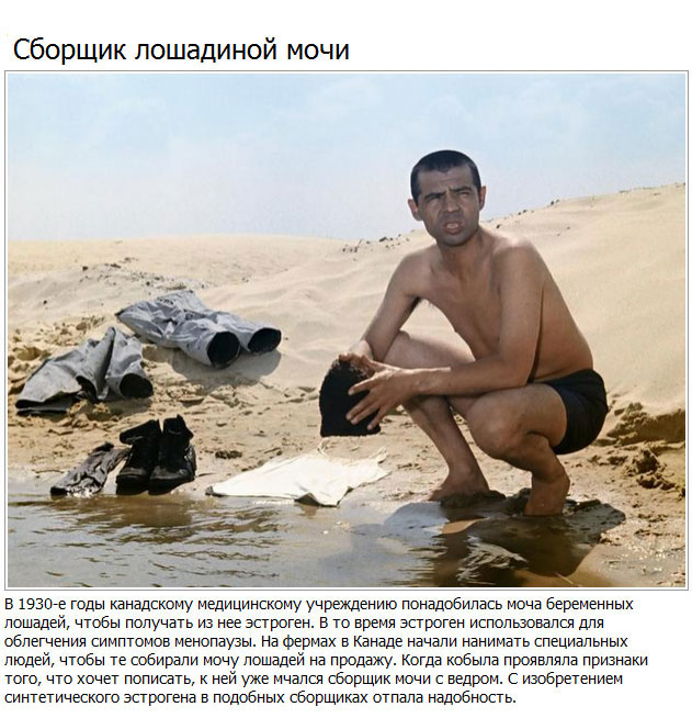 Худшие вакансии начала XX века (10 фото)