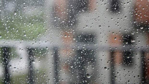 «Желтый» уровень погодной опасности объявили в Московском регионе из‑за сильного дождя