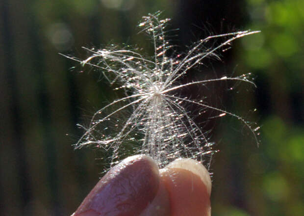0_753ff_be4cd5de_L (500x355, 74Kb)