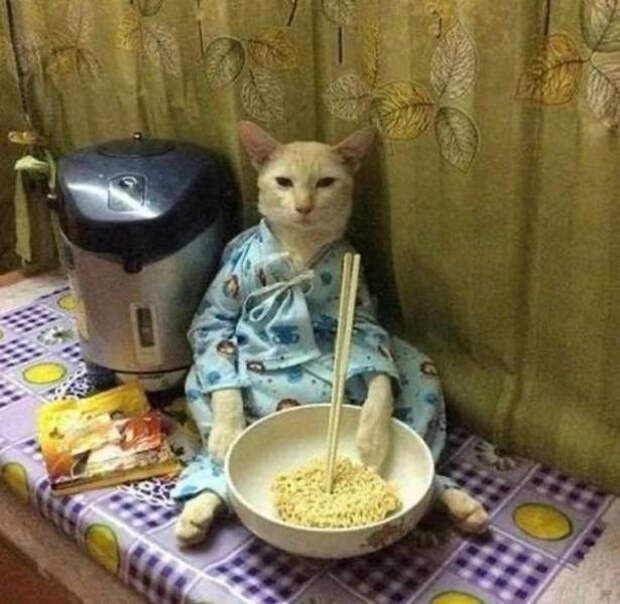 Снимки с забавными животными, которые заряжают позитивом