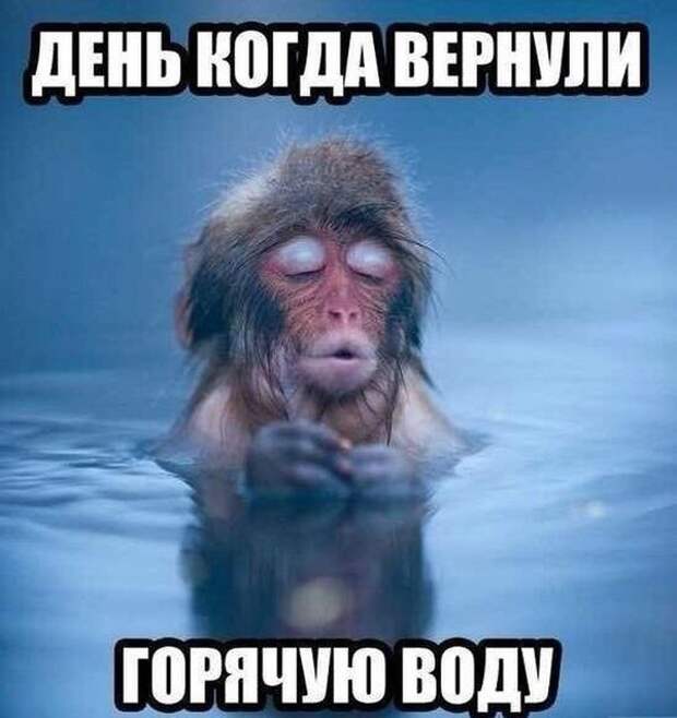 Смешные картинки с подписями катинки, прикол, юмор