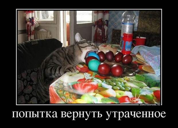 Демотиваторы демотиваторы, прикол, смех, юмор