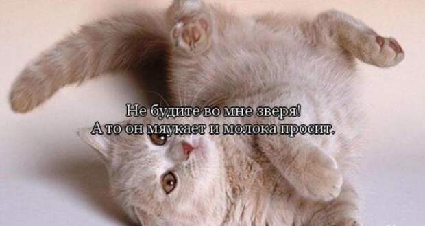 5761818_1347996086_originb1 (700x372, 31Kb)