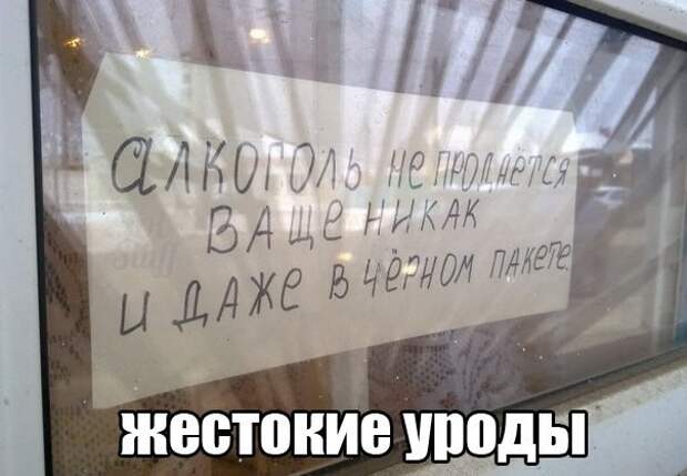 Просто смешные картинки с подписями Просто смешные картинки с подписями весело, с подписями, смешные картинки, юмор
